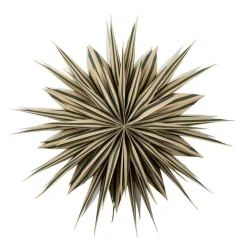 Kremmerhuset Adventsstjerne Stripe| Julestjerner