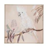 Kremmerhuset Bilde Parrot 70 x 70 cm| Veggbilder