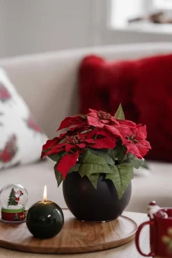 Kremmerhuset Festlys lakk kule mørk grønn| Kubbelys|Julelys Og Lysestaker