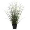 Kremmerhuset Gress i potte 48cm| Grønne Planter