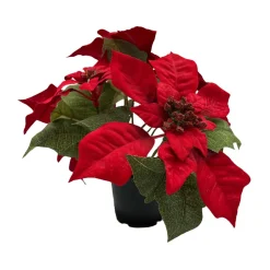 Kremmerhuset Julestjerne i potte| Grønne Planter|Juletrær Og Julegrønt