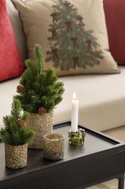 Kremmerhuset Juletre i potte 21cm| Juletrær Og Julegrønt