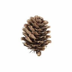 Kremmerhuset Kongler små i pose| Pynt|Juletrær Og Julegrønt