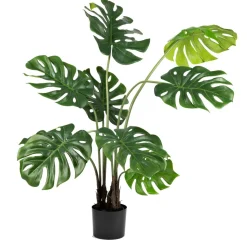 Kremmerhuset Monstera i potte 109 cm| Grønne Planter