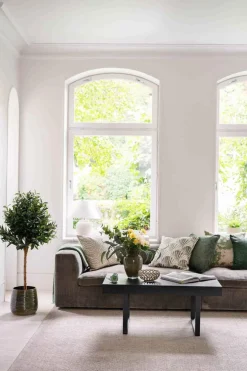 Kremmerhuset Oliventre i potte H 120 cm| Grønne Planter