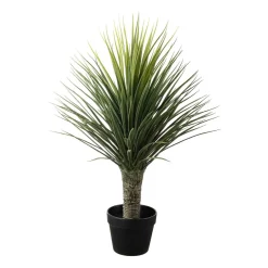 Kremmerhuset Palme i potte 85 cm| Grønne Planter