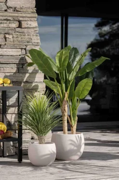 Kremmerhuset Palme i potte 85 cm| Grønne Planter