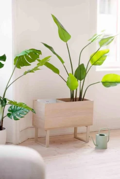 Kremmerhuset Plante Banantre 123 cm| Grønne Planter