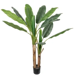 Kremmerhuset Plante Banantre 135cm| Grønne Planter