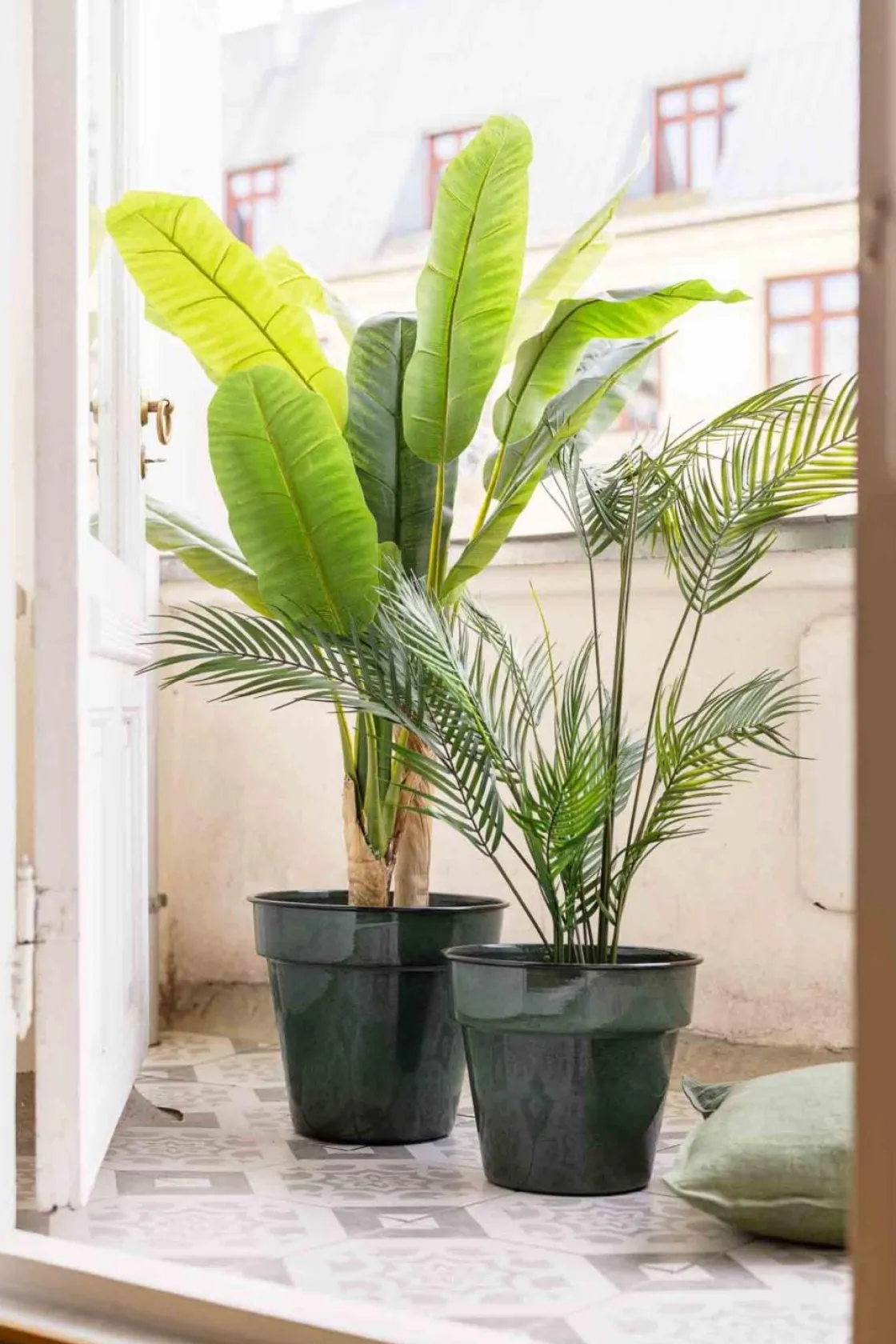 Kremmerhuset Plante Banantre 135cm| Grønne Planter
