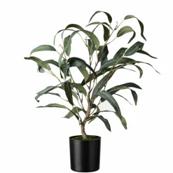 Kremmerhuset Plante Blader i potte| Grønne Planter