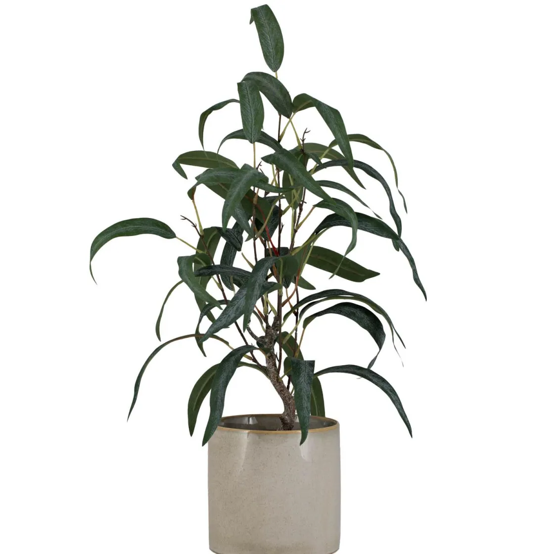 Kremmerhuset Plante Blader i potte| Grønne Planter