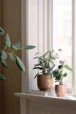 Kremmerhuset Plante Blader i potte| Grønne Planter