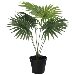 Kremmerhuset Plante Livistona 42cm| Grønne Planter