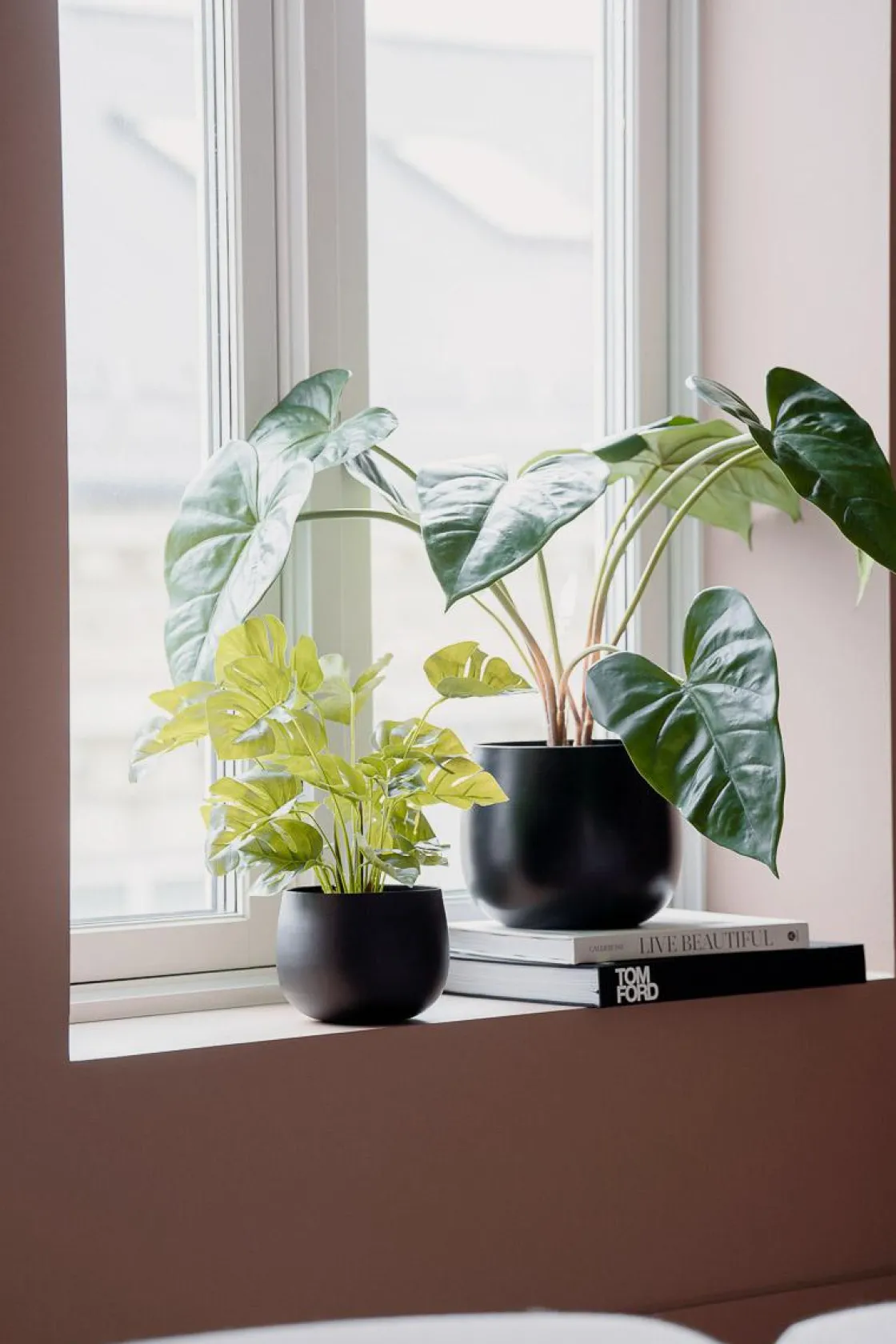 Kremmerhuset Plante Monstera| Grønne Planter