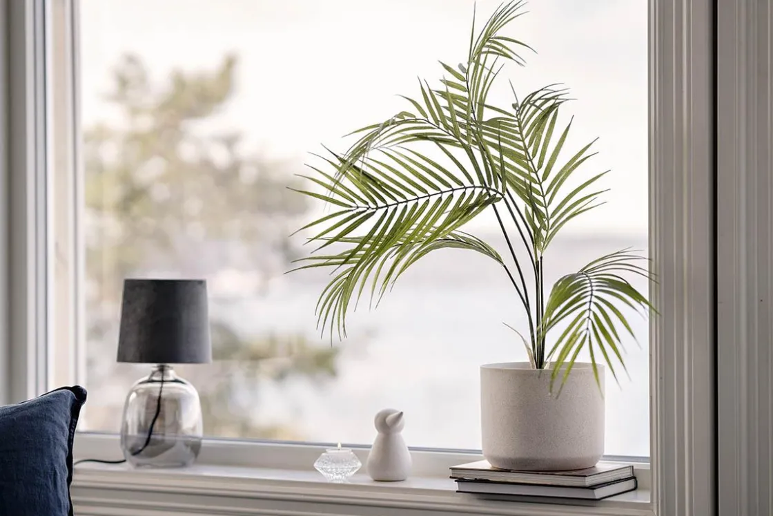 Kremmerhuset Plante Palme liten| Grønne Planter