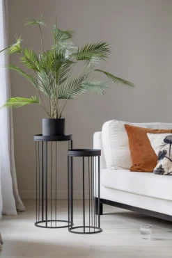 Kremmerhuset Plante Palme stor| Grønne Planter