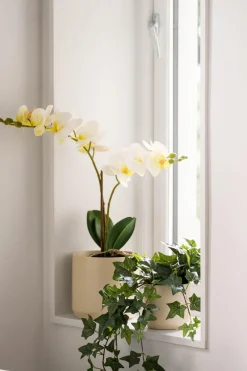 Kremmerhuset Potte Avetia 17 cm, krem| Blomsterpotter Og Pidestaller