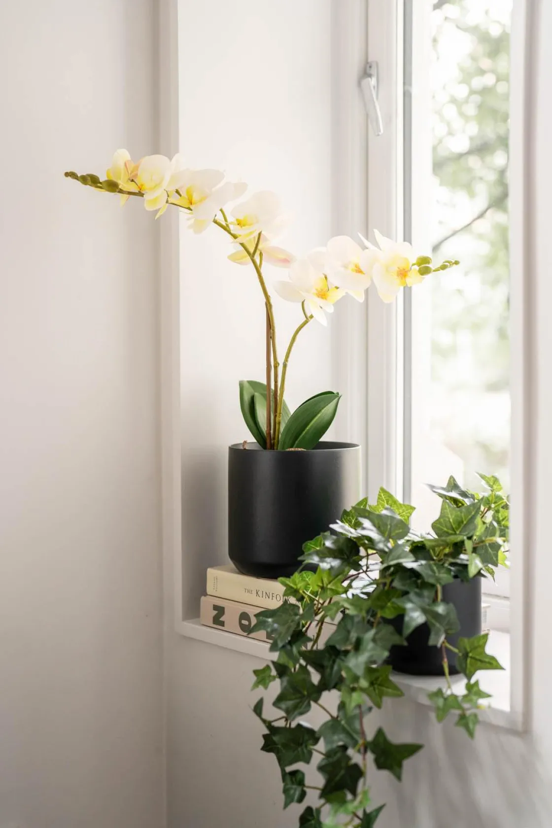 Kremmerhuset Potte Avetia 11,5 cm, sort| Blomsterpotter Og Pidestaller