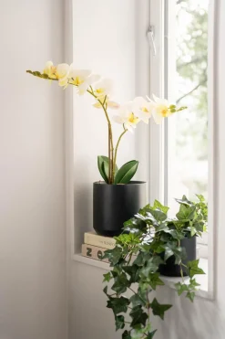 Kremmerhuset Potte Avetia 17 cm, sort| Blomsterpotter Og Pidestaller