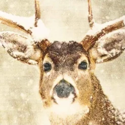 Kremmerhuset Putetrekk velur vinterhjort| Putetrekk|Juletekstil