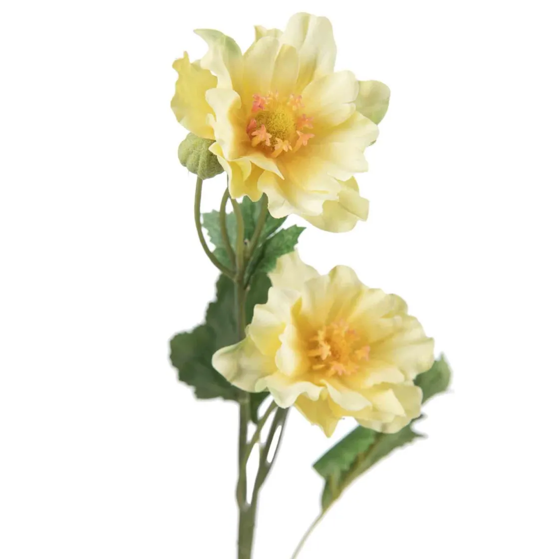 Kremmerhuset Stilkblomst Ranunkel 69 cm| Kunstige Blomster